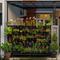 Kebun Mini di Pagar Rumah Biar Hemat Lahan. (Foto: AI)