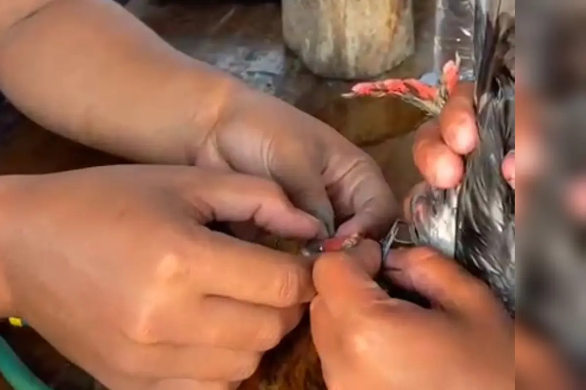 Warga datangi Damkar untuk minta pertolongan
