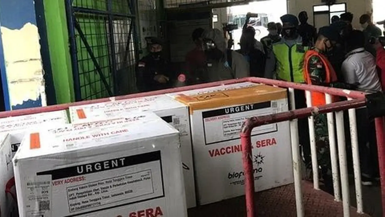 Vaksin jenis Sinovac tiba di Bandara El Tari (Foto Istimewah)