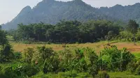 Salah satu tujuan  agrowisata di daerah Bogor Timur berada di Desa Antajaya Kecamatan Tanjungsari, Kabupaten Bogor.