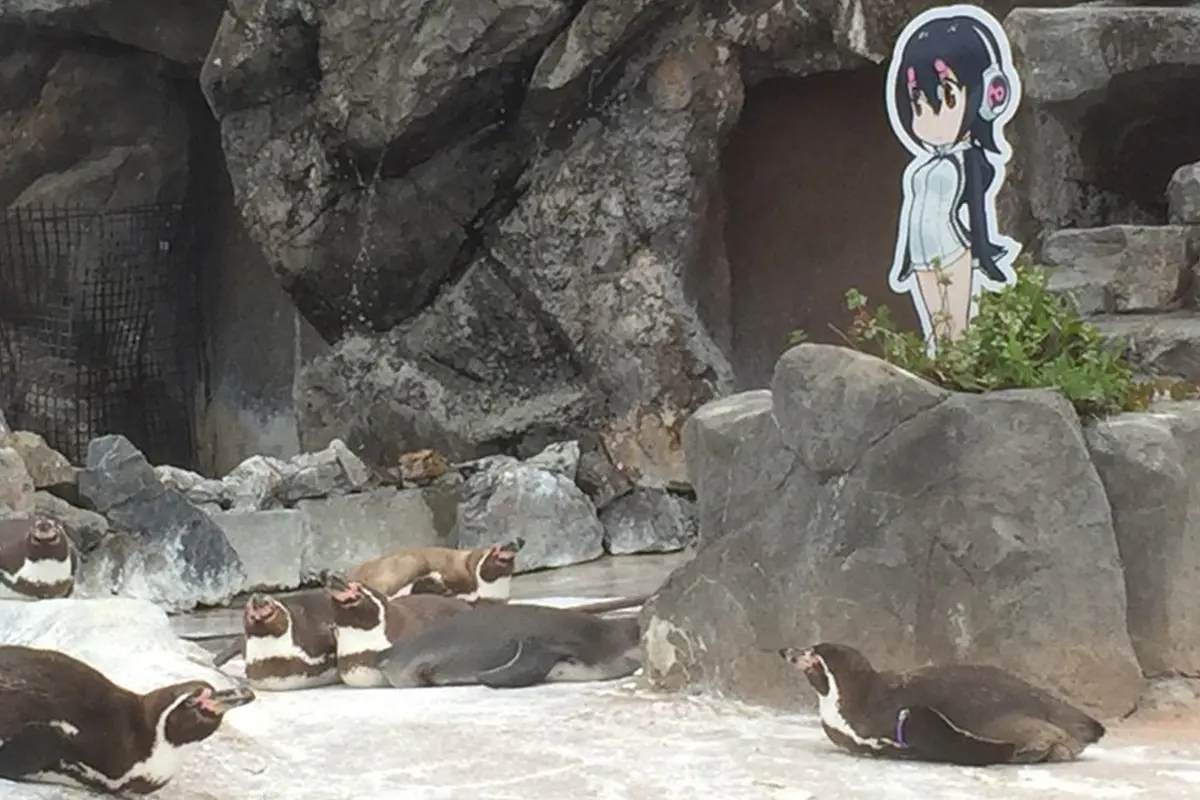 Penguin Grape-kun