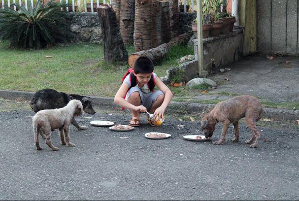 Ternyata anak ini keluar dari rumah untuk memberi makan anjing jalanan yang sakit dan kelaparan | Photo copyright reddit.com