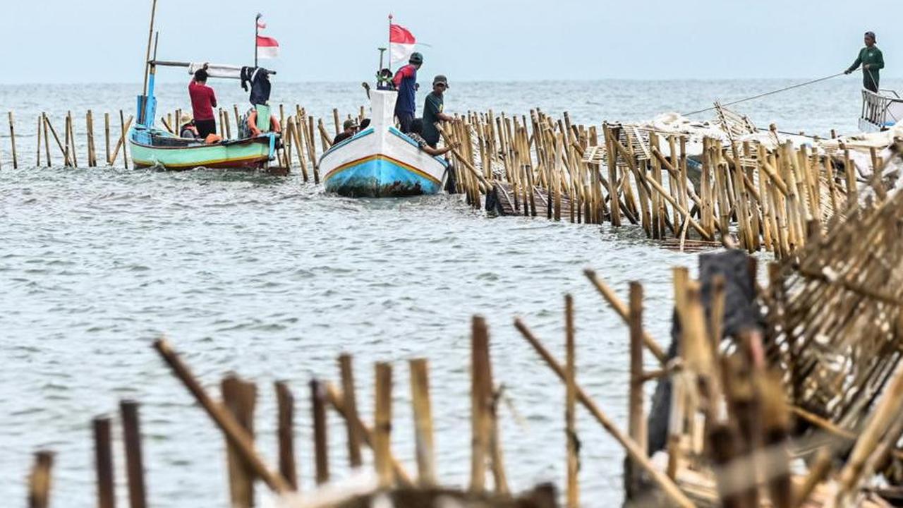 Akui Kurang Pengawasan Saat Pagar Laut Masif Dibangun 2024,  Menteri KKP Mengira untuk Penangkaran Kerang
