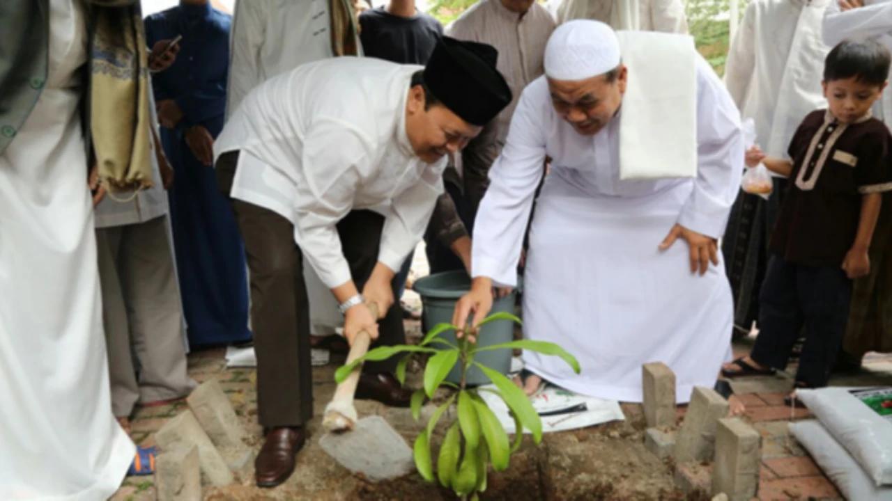 Cara Menanam Kemang di Pekarangan Rumah agar Tumbuh Sehat dan Cepat Berbuah