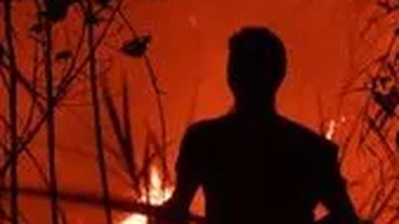 229,54 Ha Hutan dan Lahan di Jambi Terbakar, Jenderal Bintang Satu Tuding Ini Penyebabnya