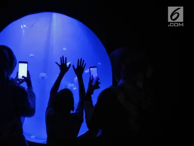 Pengunjung melihat ubur-ubur di Wahana Jellyfish Sphere di SeaWorld Ancol, Jakarta, Selasa (25/12). Sea World menjadi tempat wisata alternatif warga menghabiskan libur Natal 2018. (Liputan6.com/Faizal Fanani)