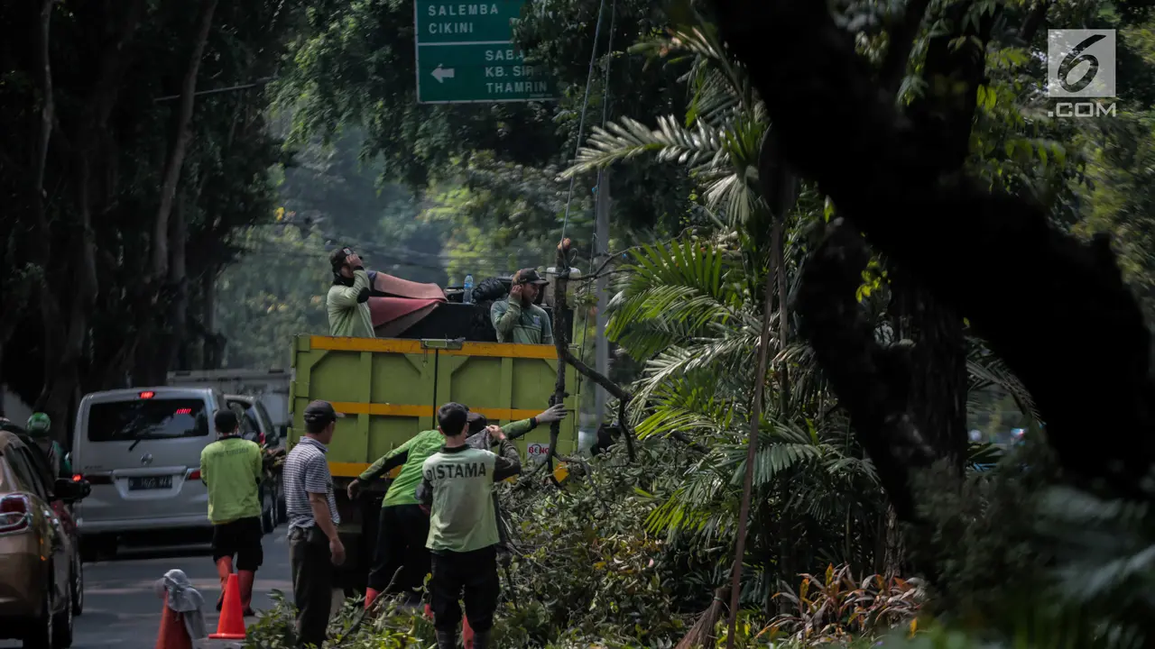Memasuki Musim Penghujan, Pohon di Jakarta Dipangkas