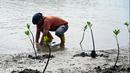 Seorang pria menanam benih mangrove sebagai bagian dari program lingkungan hidup yang dipimpin militer di pantai pesisir Banda Aceh, Aceh, Indonesia, Rabu (18/10/2023). (CHAIDEER MAHYUDDIN/AFP)
