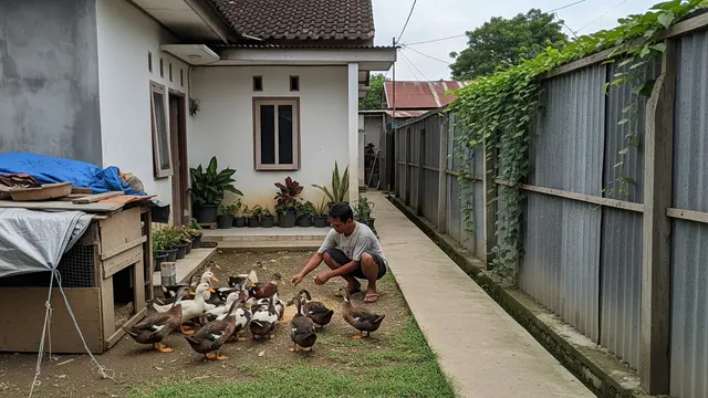 Kebutuhan Lahan dan Sistem Kandang untuk Itik Mojosari vs Bebek Alabio