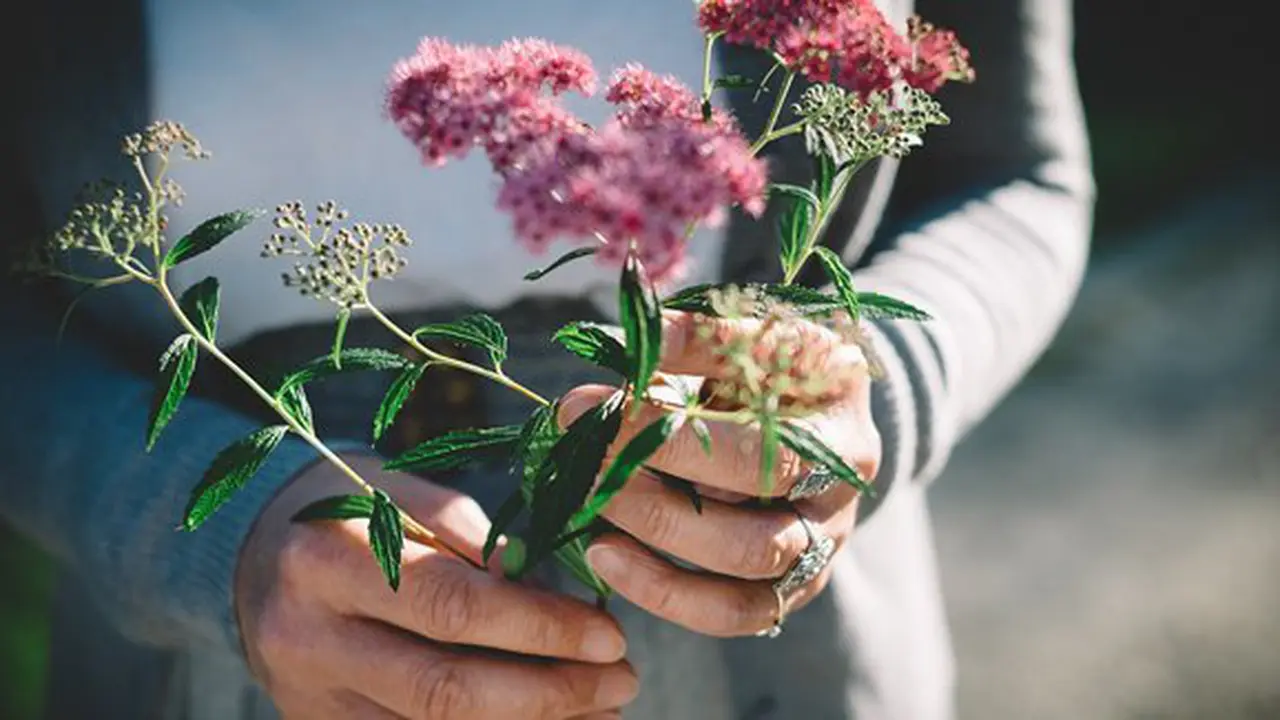 Ilustrasi./Copyright unsplash.com/thomas hafeneth