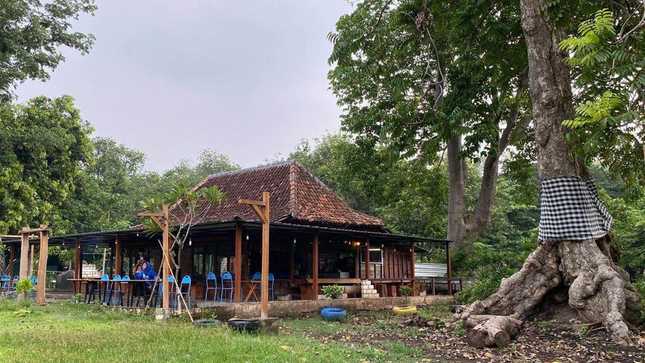 Kokobo Dander Forest Bojonegoro