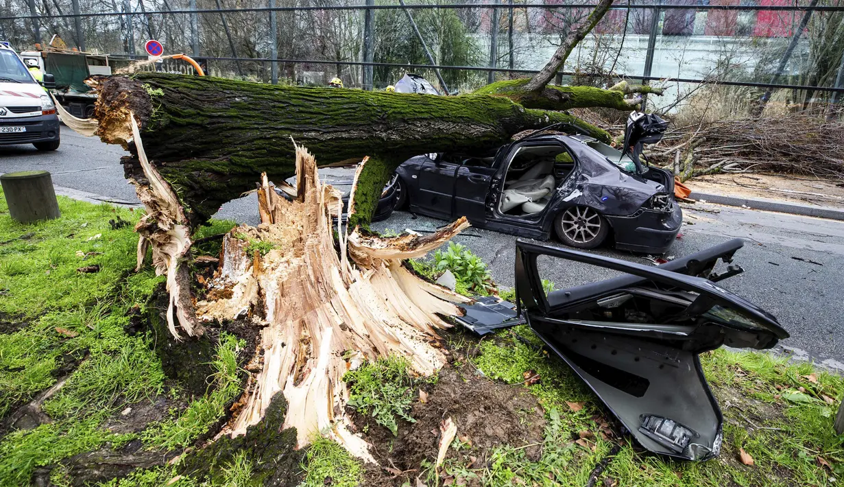 Sebuah mobil yang tertimpa pohon besar di Paris, Kamis (27/2/2020).  Angin kencang menumbangkan pohon besar hingga menimpa sebuah mobil di dekat Menara Eiffel dan menewaskan pengemudi di tempat. (Benoit Moser/BSPP via AP)