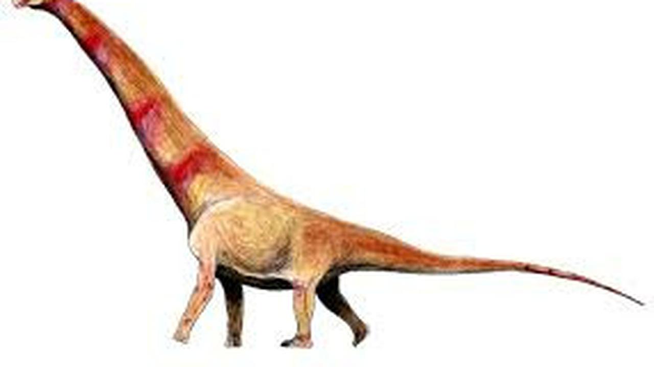 8 Titanosaurus Terbesar: Mengungkap Rahasia Raksasa Zaman Kapur
