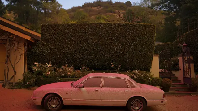 Zat seperti bubuk berwarna pink atau merah muda yang menutupi kendaraan dan jalan masuk saat terjadi kebakaran hutan Los Angeles. (AP)