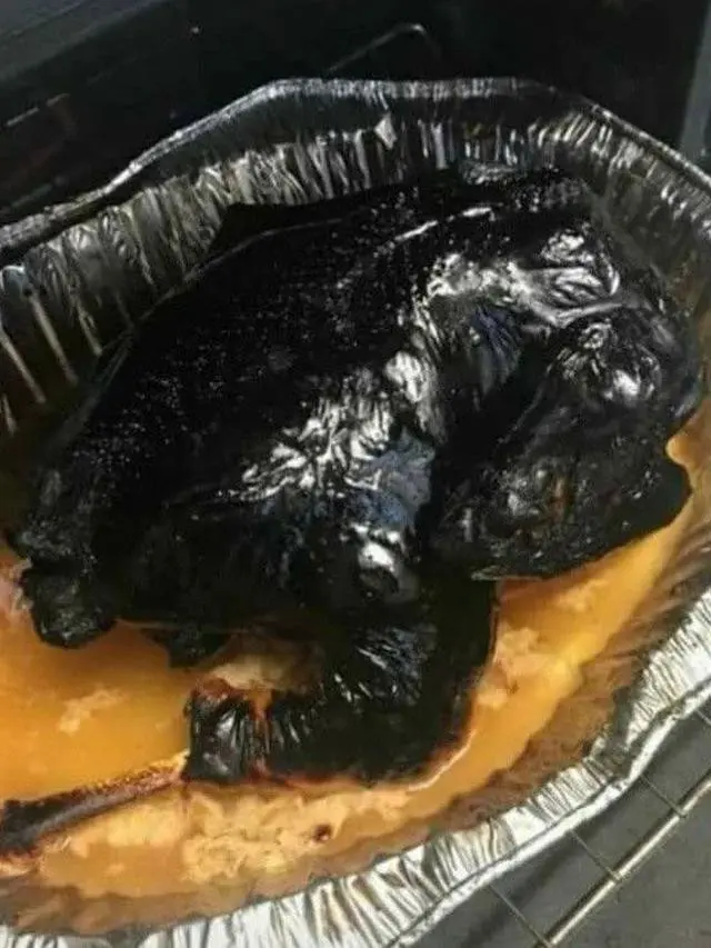 7 Potret Gagal Masak Ayam Ini Bikin Selera Makan Hilang, Ada yang Jadi Abu