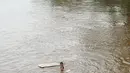 Anak-anak berenang di aliran Sungai Ciliwung, Jatinegara, Jakarta Timur, Sabtu (4/7/2020). Minimnya lahan bermain menyebabkan anak-anak tersebut bermain tidak pada tempatnya, meski dapat membahayakan keselamatan. (Liputan6.com/Immanuel Antonius)