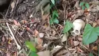 Warga menemukan kerangka manusia dalam kondisi tidak utuh di kawasan Taman Hutan Raya (Tahura) Wan Abdul Rachman, Register 19, Dusun Umbul Solo Sinar Baru, Desa Padang Ratu, Kecamatan Gedong Tataan, Kabupaten Pesawaran, Lampung, Rabu (28/10/2026). (Dok. Istimewa)