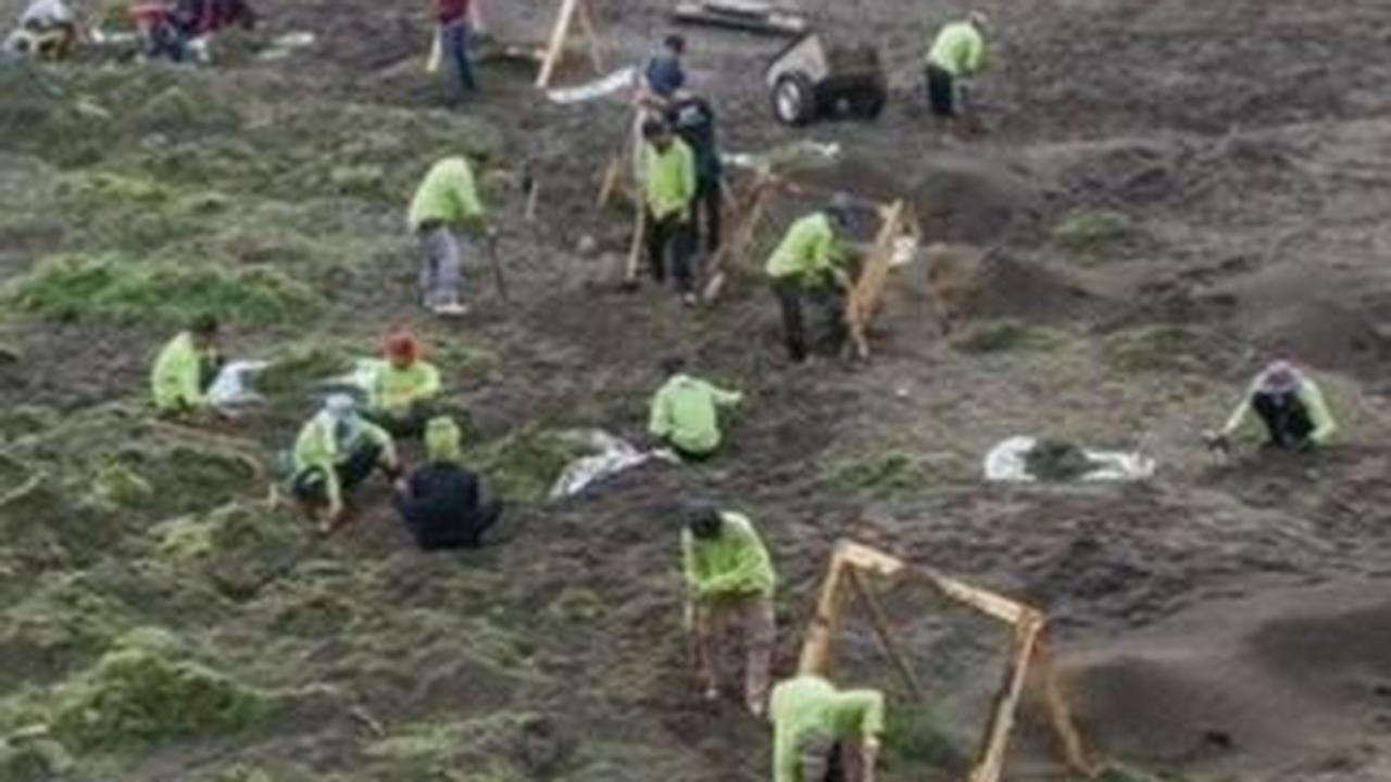 <b>Revitalisasi Rumput GBK</b>