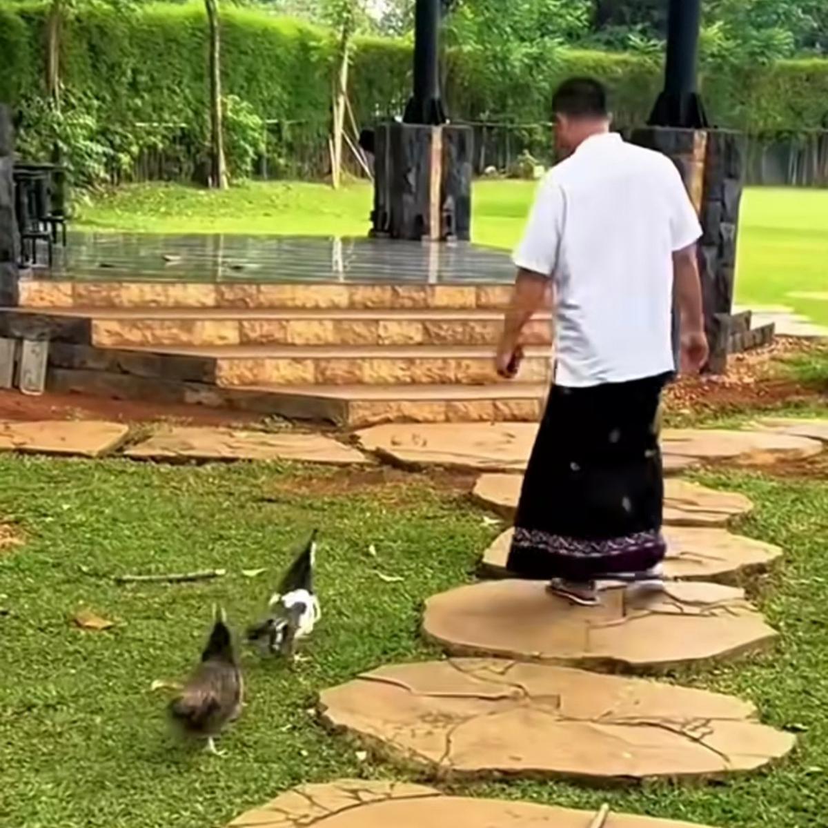 Panglima TNI Jenderal Agus Subianto Bermain dengan Hewan Peliharaan