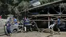 Petugas mengevakuasi beruang mati yang hanyut diterjang banjir bandang di kebun binatang Tbilisi, Georgia, Amerika Serikat (AS), Senin (15/6/2015). (REUTERS/David Mdzinarishvili)