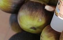 Manfaat Buah Lontar untuk Kesehatan, Punya Nutrisi Tinggi dan Bisa Cegah Penyakit Kronis