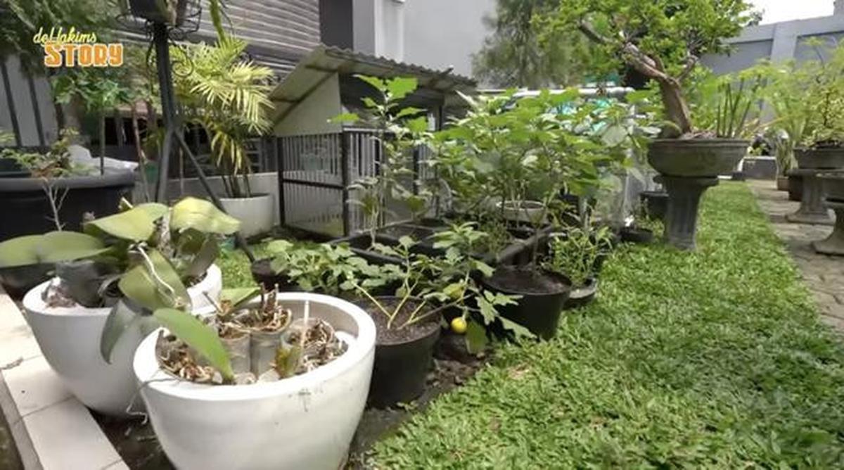 Tinggal di Gang Sempit, Ini 8 Potret Kebun dan Kandang Hewan di Rumah Ayu Ting Ting