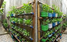 Trik Panen Sayur Cepat dari Kebun Vertikal Sederhana, Hasilnya Optimal Ala Petani Profesional