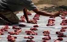 Kolesterol Tinggi atau Asam Urat, Siapa yang Berisiko saat Makan Daging Kurban Idul Adha 2025?