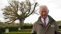 Raja Charles III adalah penyuka pohon dan taman. Dok: Instagram @clarencehouse