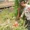Bayi Terbungkus Plastik Ditemukan di Bawah Jembatan