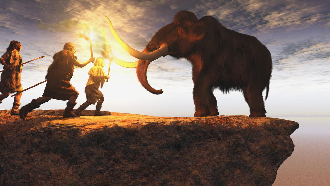 21 Ciri-Ciri Homo Sapiens, Beserta Jenis dan Penemuannya di Indonesia