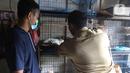 Petugas memeriksa kesehatan kucing di Pasar Barito, Jakarta, Senin (28/3/2022). Penyemprotan disinfektan, pemeriksaan kesehatan hewan dan vaksinasi rabies gratis untuk mengantisipasi penyebaran penyakit di pasar hewan tersebut. (Liputan6.com/Herman Zakharia)