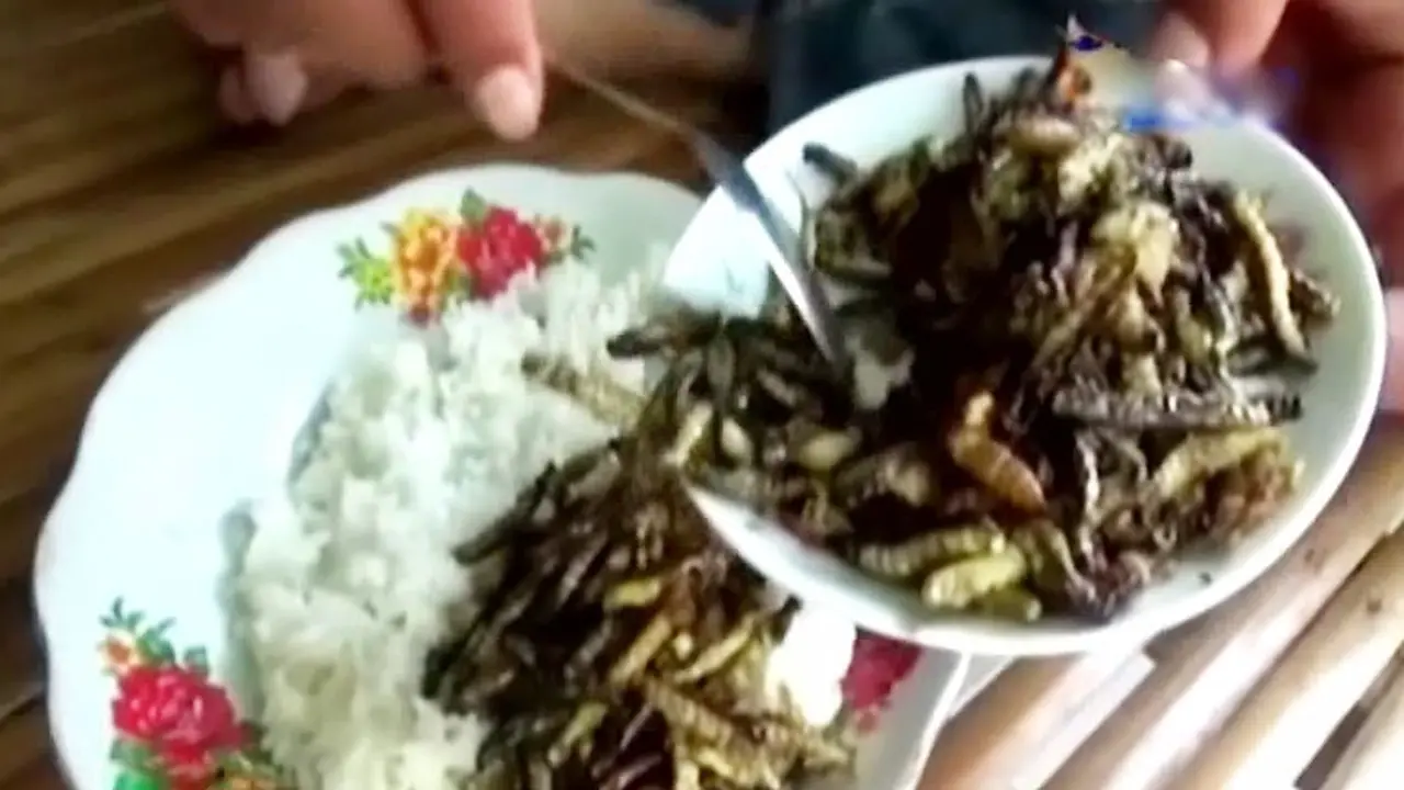 (Lip6 Pagi) Kuliner-Ulat