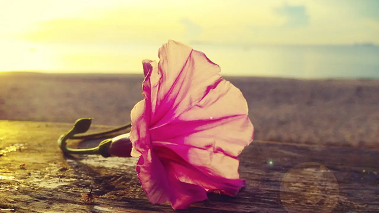 Foto: copyright thinkstockphotos.com