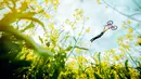 Hamparan bunga berwarna kuning disertai langit langit biru yang penuh awan menjadikan aksi sepeda gaya bebas terlihat cantik, Imagination Park, Swedia pada 14 Juli 2016. (REUTERS)