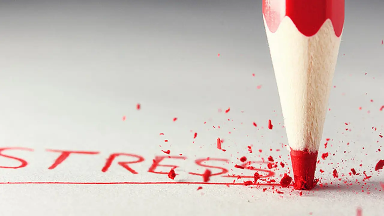 Foto : copyright shutterstock.com