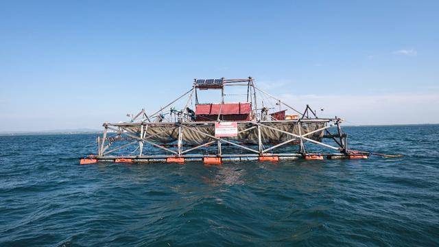 PT Badak LNG meluncurkan inovasi baru bernama Jaka Samudra yang ditujukan buat Nelayan Kampung Tihi-Tihi, Bontang Selatan, Kota Bontang. (Dok Badak LNG)