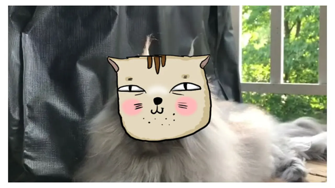 Kucing Ini Punya Bentuk Bulu Aneh, 6 Potretnya Bikin Ngakak