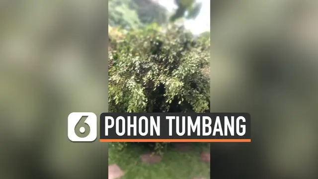 VIDEO: Pohon di Rumah Yuni Shara Tumbang Karena Hujan Deras