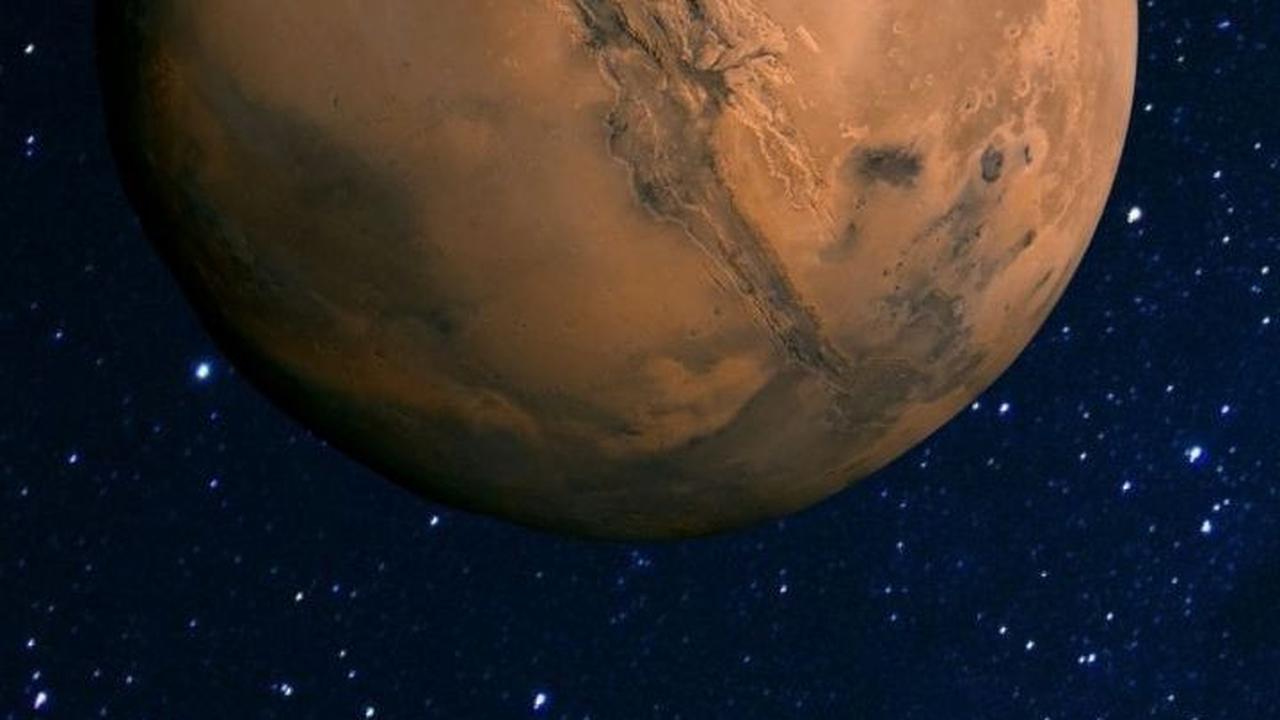 Hewan Ini Punya Peran Penting jika Manusia Mau Membangun Koloni di Mars
