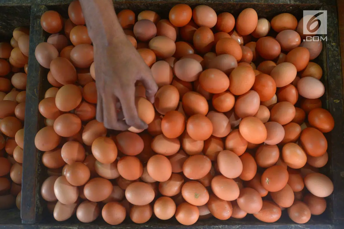 Harga Telur Ayam Mulai Merangkak Turun di Pasar Minggu