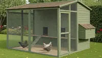 8 Desain Kandang Ayam Anti Tikus yang Efektif, Solusi Praktis untuk Peternak
