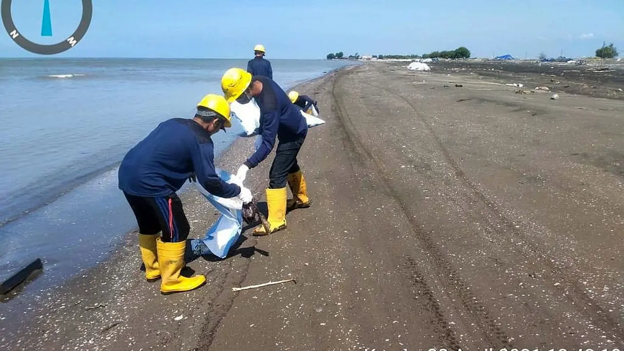 Pasca kejadian tumpahan minyak di area pantai Karawang, Tim PHE ONWJ terus bersinergi dengan berbagai pihak untuk membersihkan sisa ceceran minyak. (Dok Pertamina)