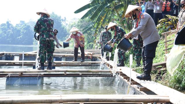 Aksi Solidaritas Membangun Ketahanan Pangan Dari Pinggiran Sungai Cisadane Regional Liputan6 Com