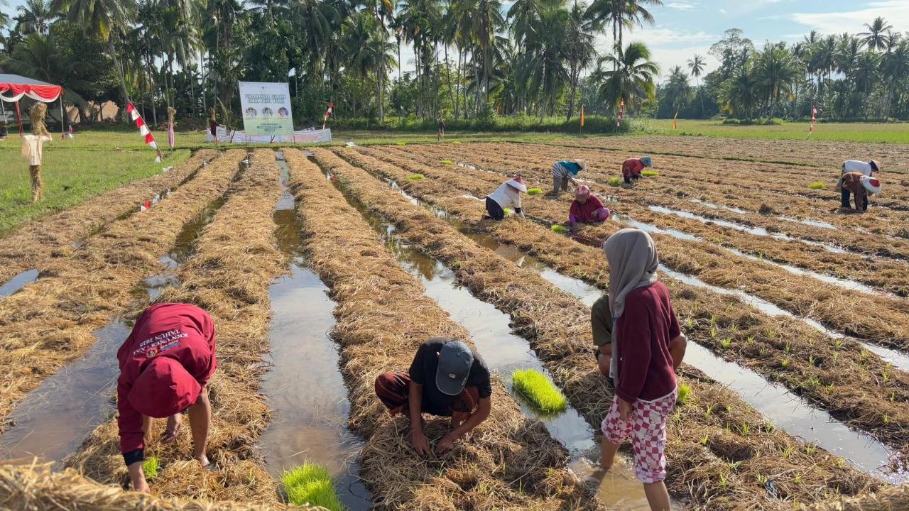 Program Pertamina Patra Niaga Ubah Ratusan Ton Jerami dan Kotoran Ternak Jadi Kompos, Pendapatan Masyarakat Naik 63 Persen