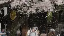 Pengunjung berjalan-jalan di bawah pancuran bunga sakura yang mekar penuh di kuil shinto di Tokyo, Kamis (31/3/2022). (AP Photo/Shuji Kajiyama)