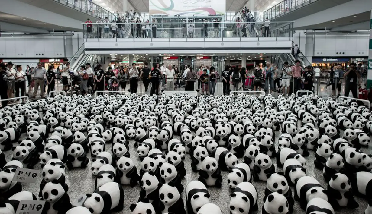 1600 panda yang terbuat dari bubur kertas memenuhi Bandara Internasional Hong Kong, Senin (9/6/14). (AFP PHOTO/Philippe Lopez)
