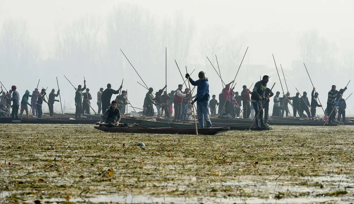 Nelayan Kashmir mencari lokasi menangkap ikan di Danau Anchar, pinggiran Srinagar, India, 28 Desember 2017. Para nelayan itu menggunakan taktik menangkap ikan dengan menutupi kepala dan sebagian tubuhnya memakai selimut dan jerami. (TAUSEEF MUSTAFA/AFP)