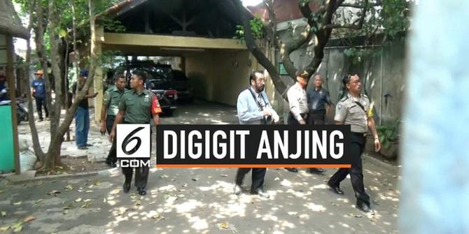 VIDEO: Kasus ART Digigit Anjing, Polisi Minta Keterangan Ahli Pidana