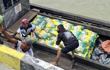 Trivia Pangan: Bulog Pastikan Distribusi Beras SPHP Jangkau Pulau-Pulau Terpencil di Karimun